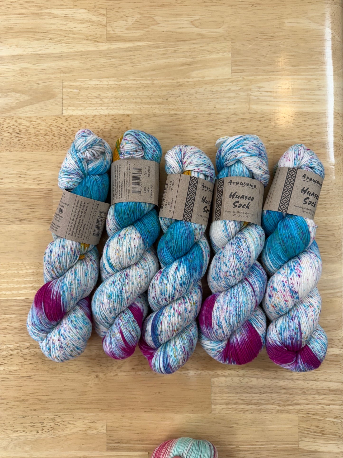 Araucania Huasco Sock Hand Painted