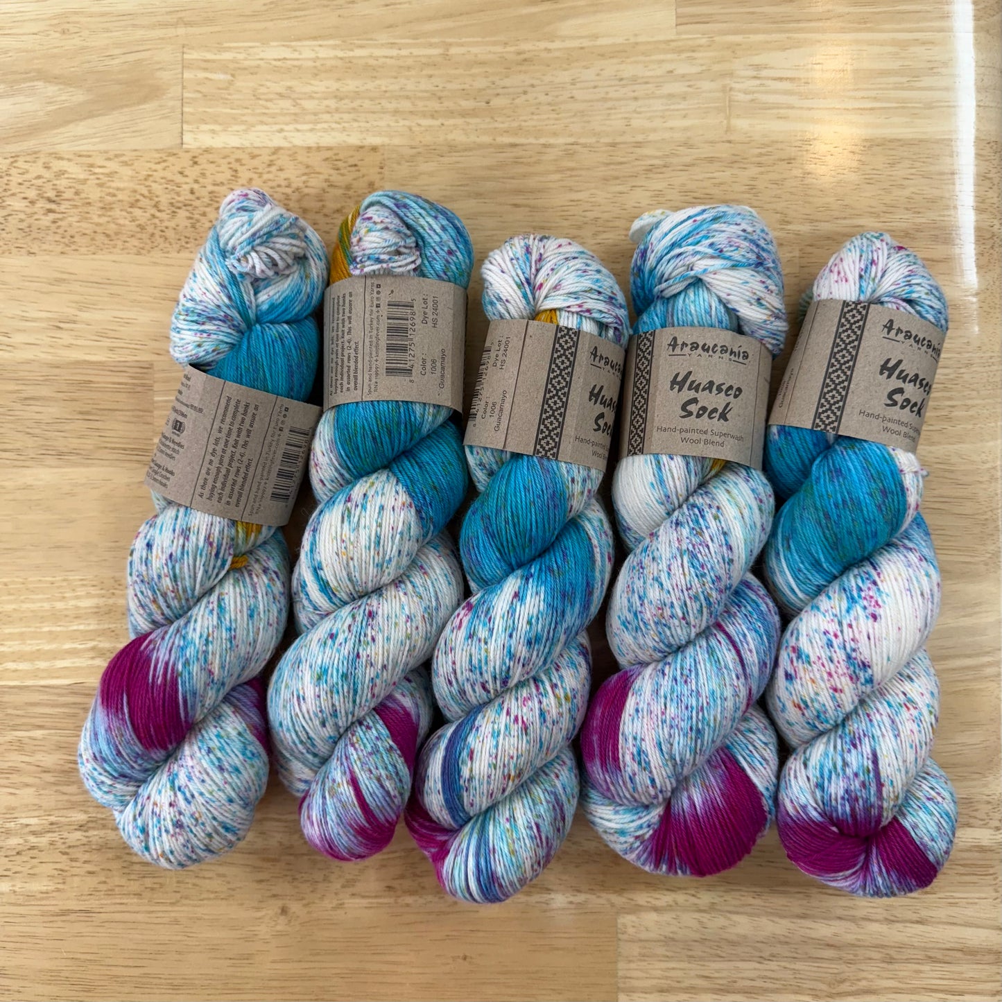 Araucania Huasco Sock Hand Painted